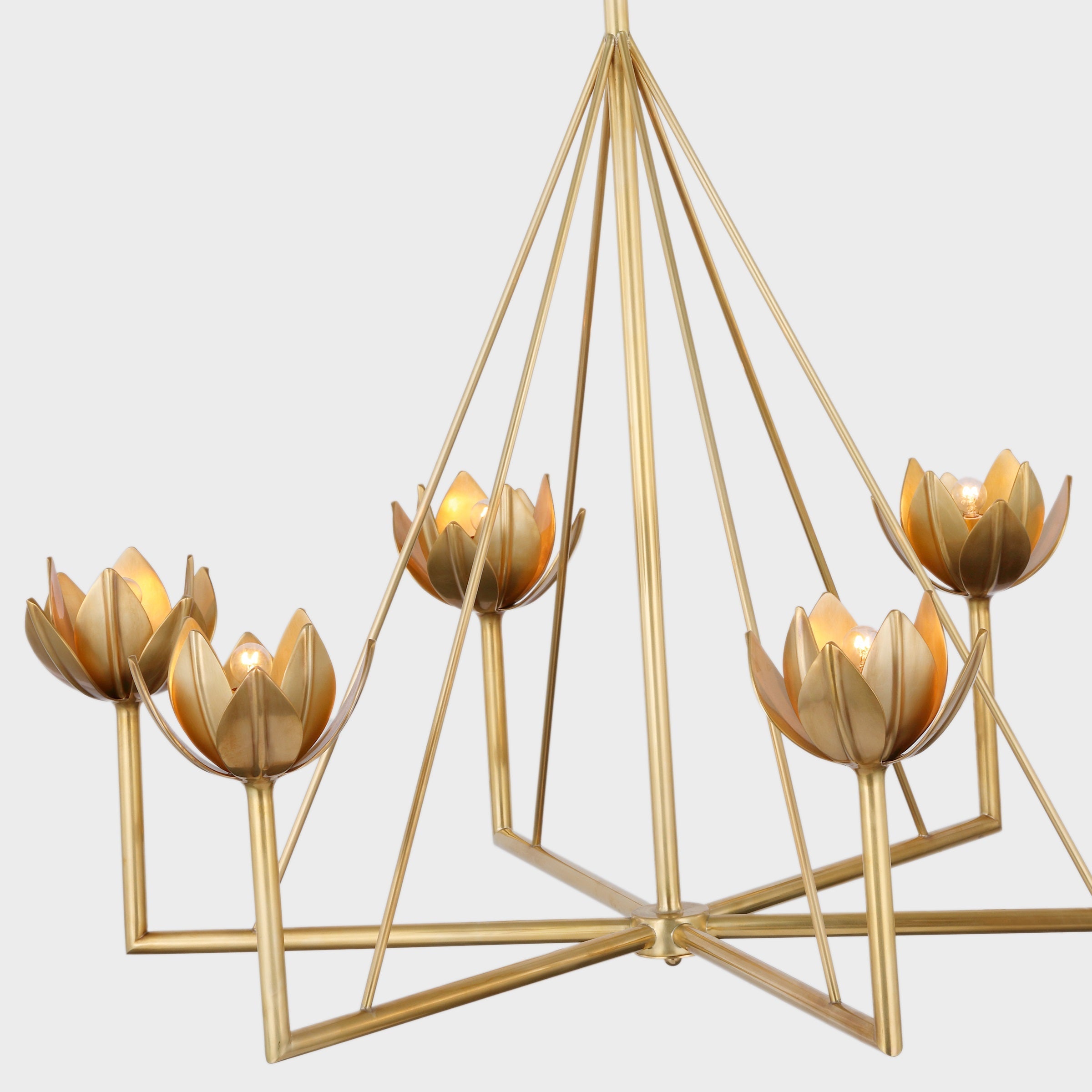 Alberto Modern Minimalist Floral Brass Chandelier