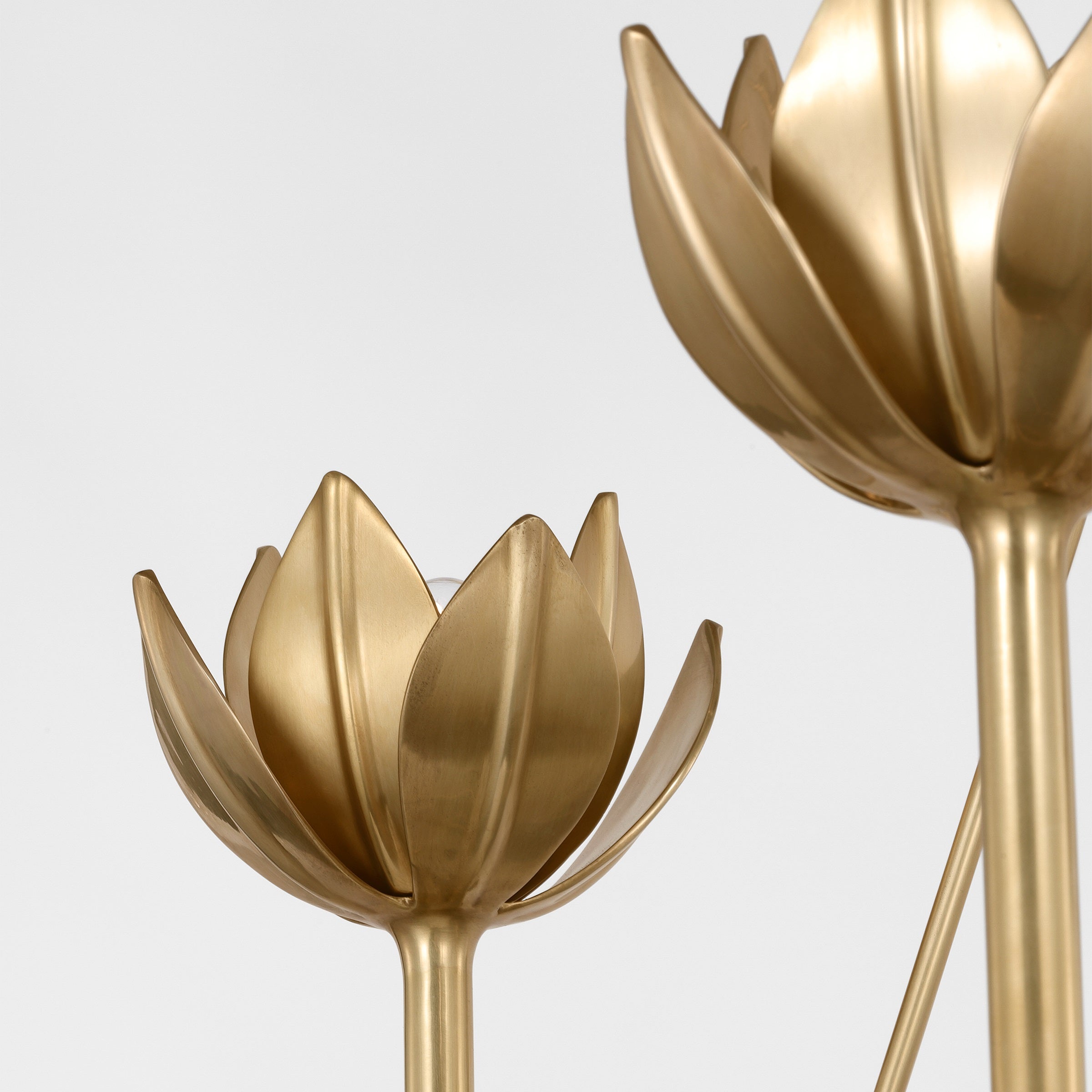 Alberto Modern Minimalist Floral Brass Chandelier