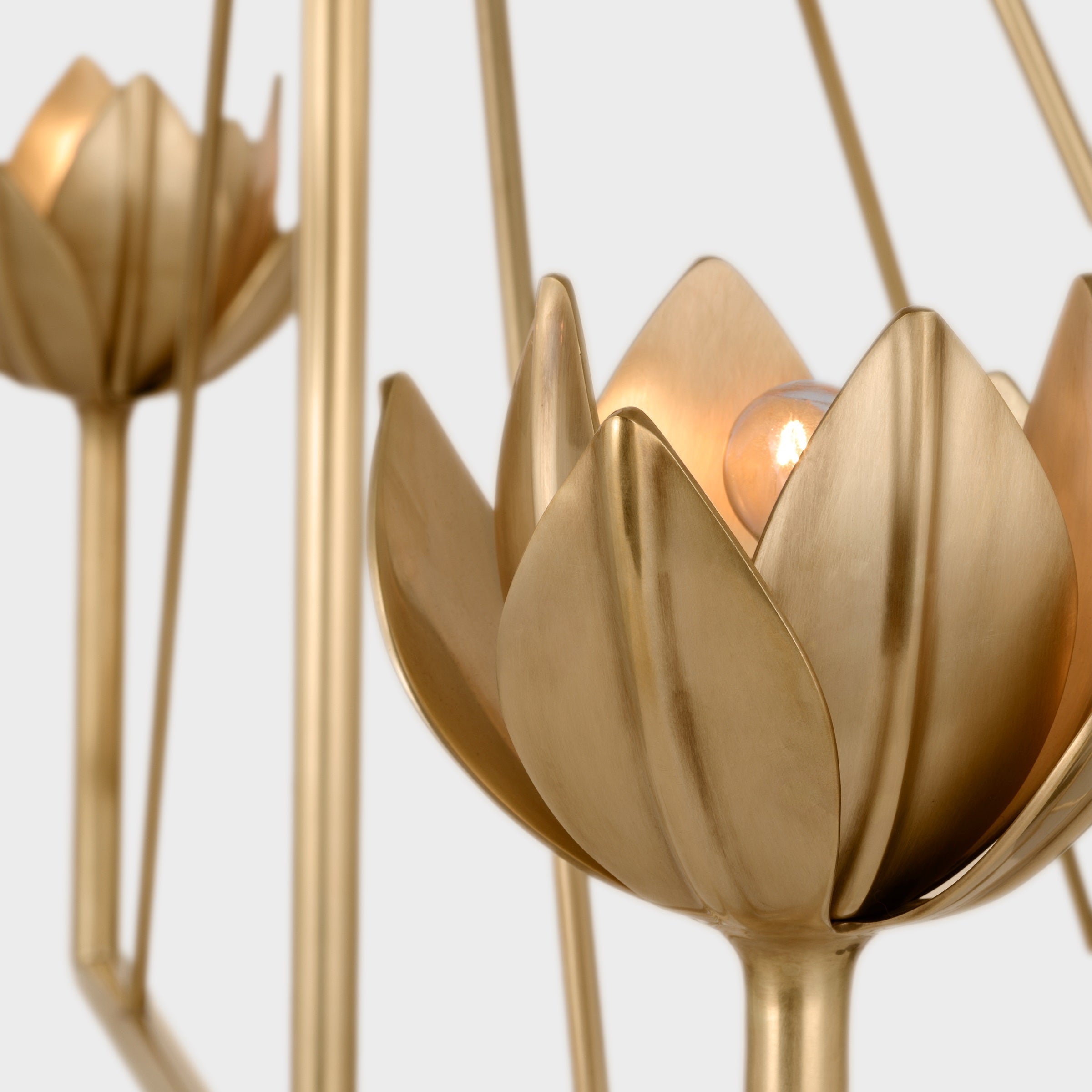 Alberto Modern Minimalist Floral Brass Chandelier