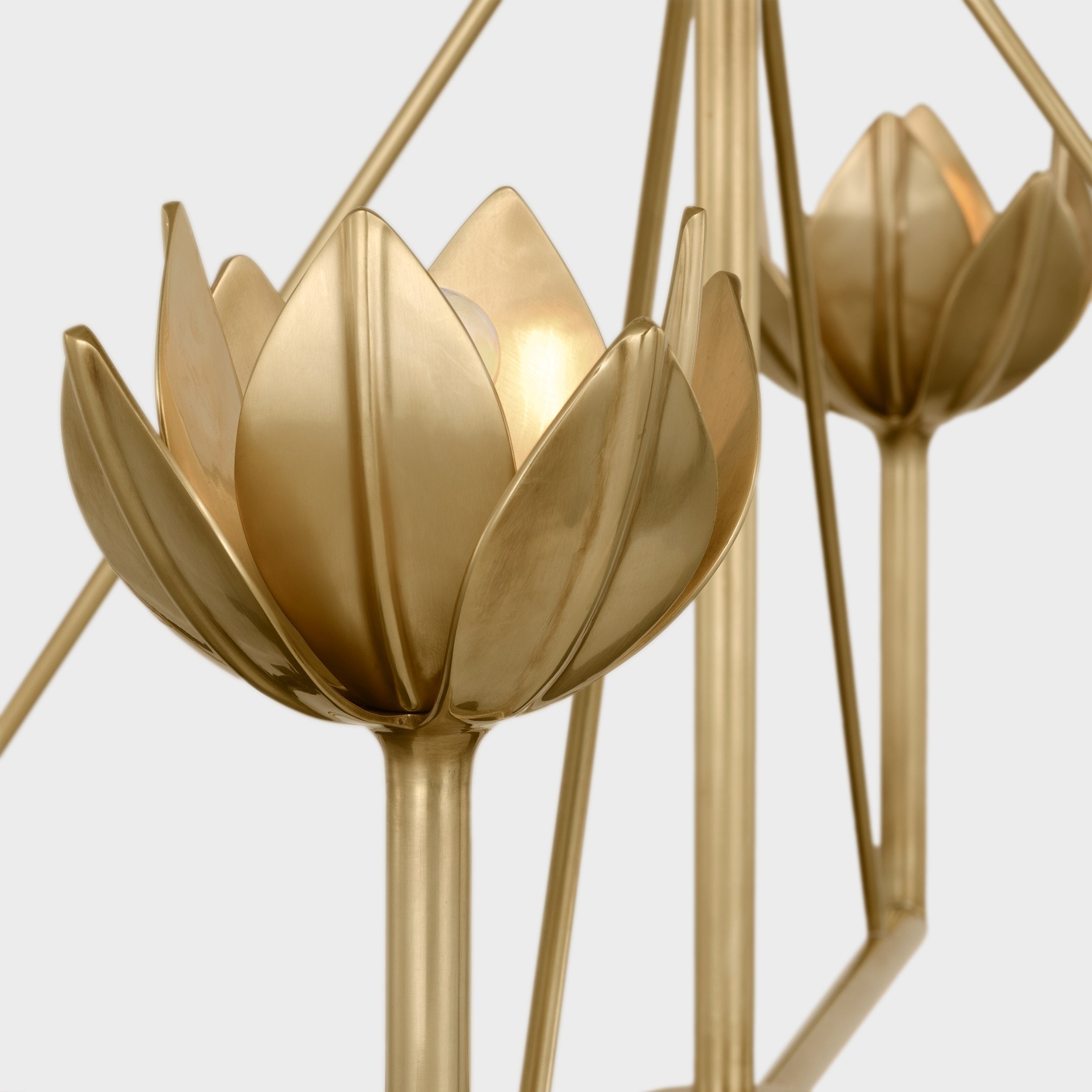 Alberto Modern Minimalist Floral Brass Chandelier