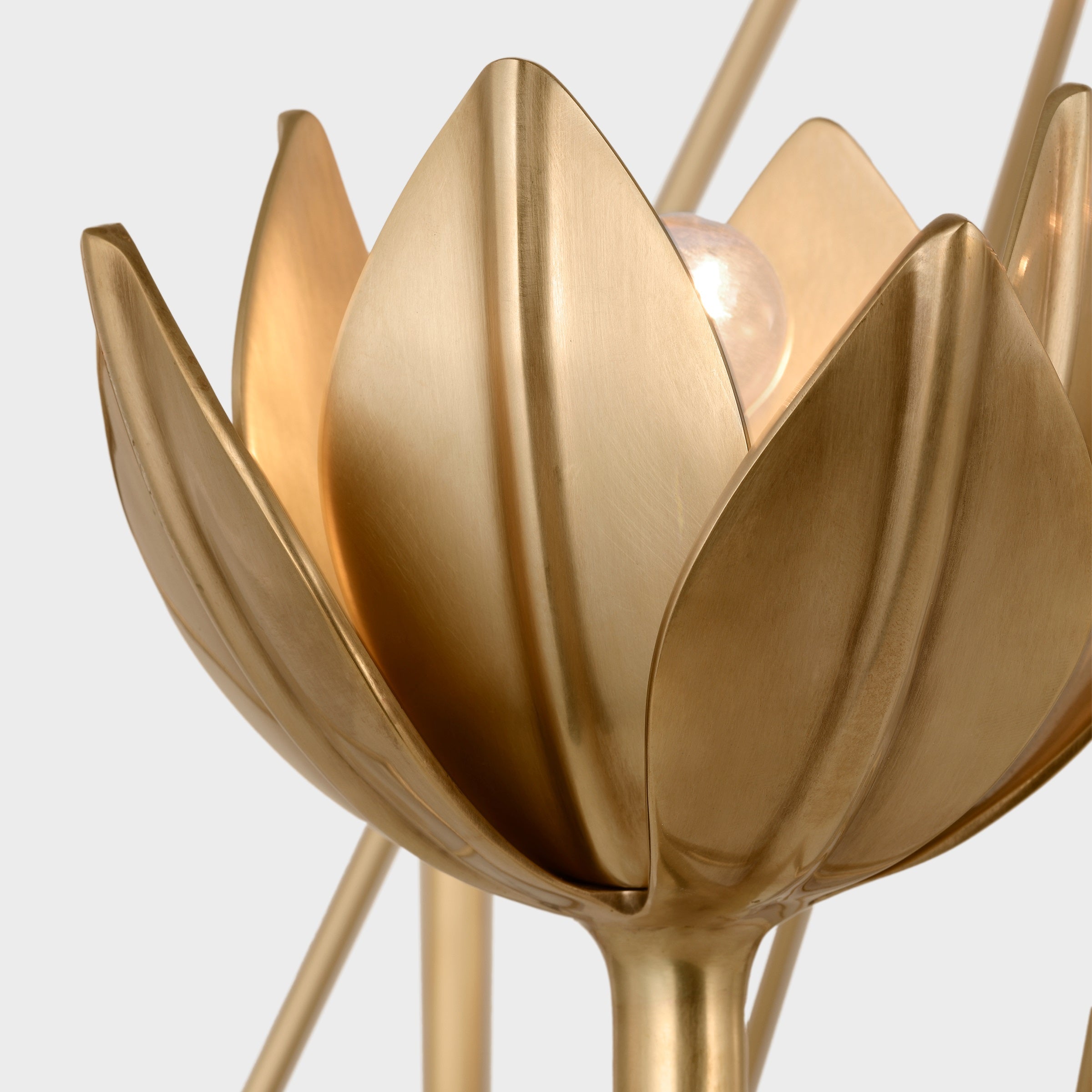 Alberto Modern Minimalist Floral Brass Chandelier