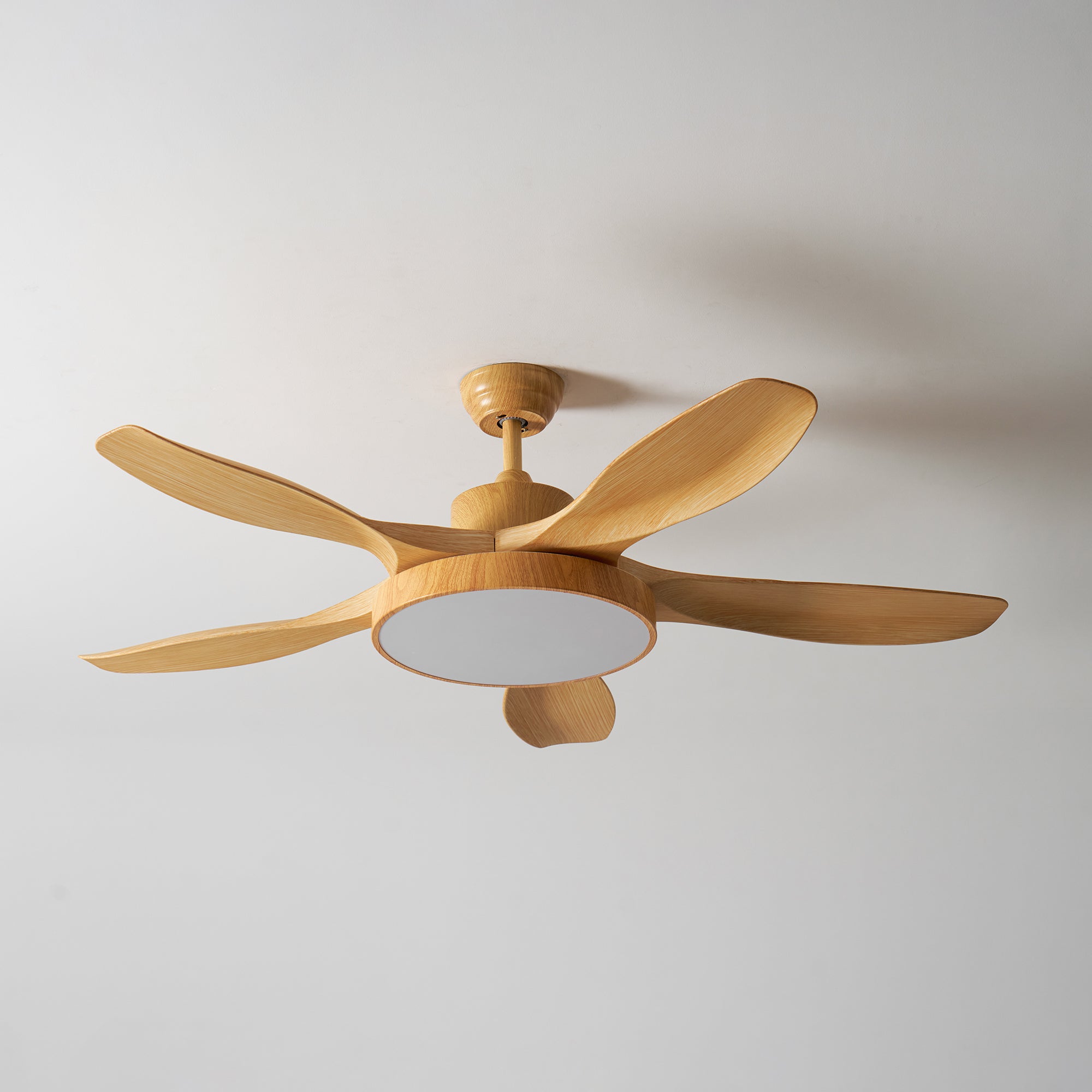 Fusion Premium Natural Metal Acrylic Ceiling Fan Light