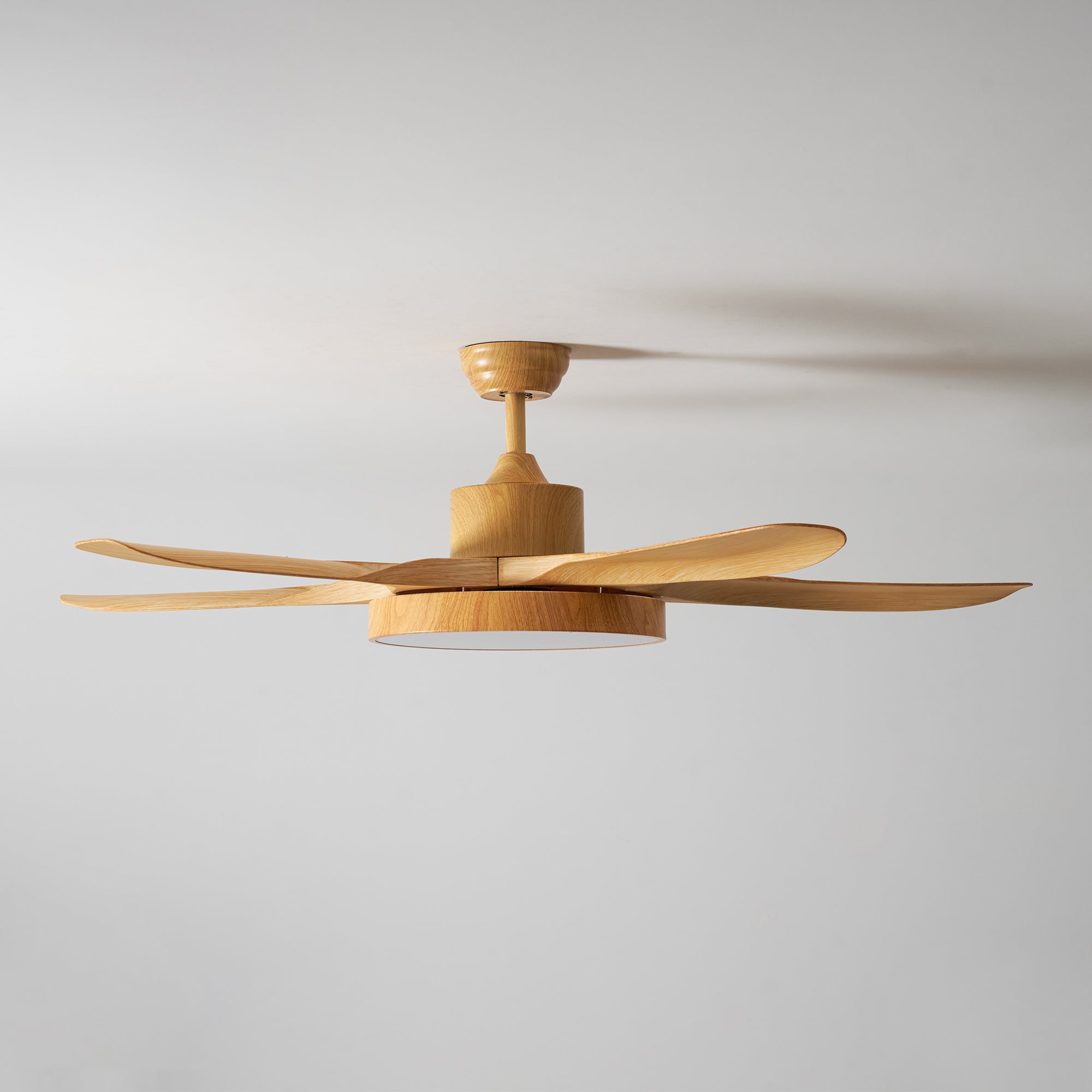 Fusion Premium Natural Metal Acrylic Ceiling Fan Light