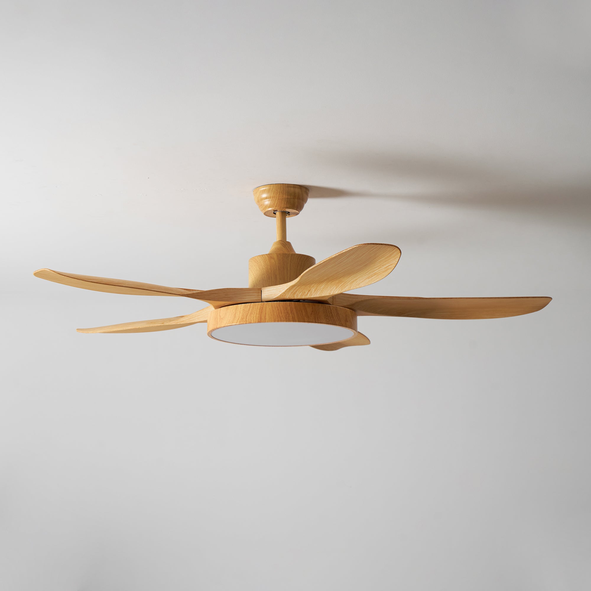 Fusion Premium Natural Metal Acrylic Ceiling Fan Light