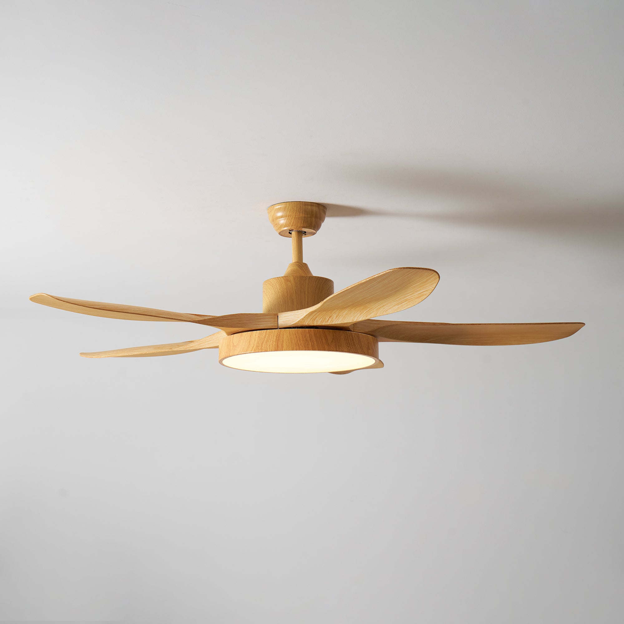 Fusion Premium Natural Metal Acrylic Ceiling Fan Light