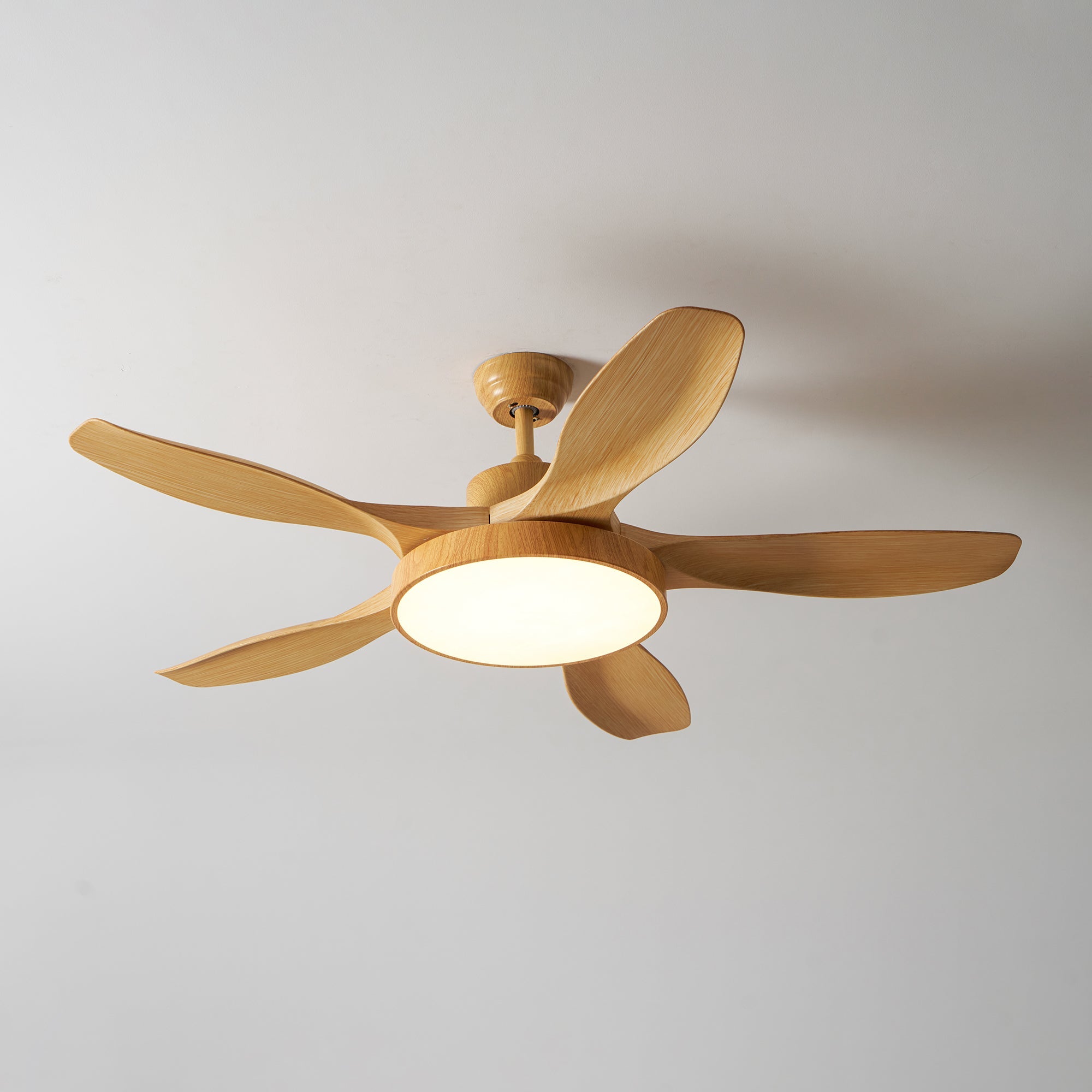 Fusion Premium Natural Metal Acrylic Ceiling Fan Light