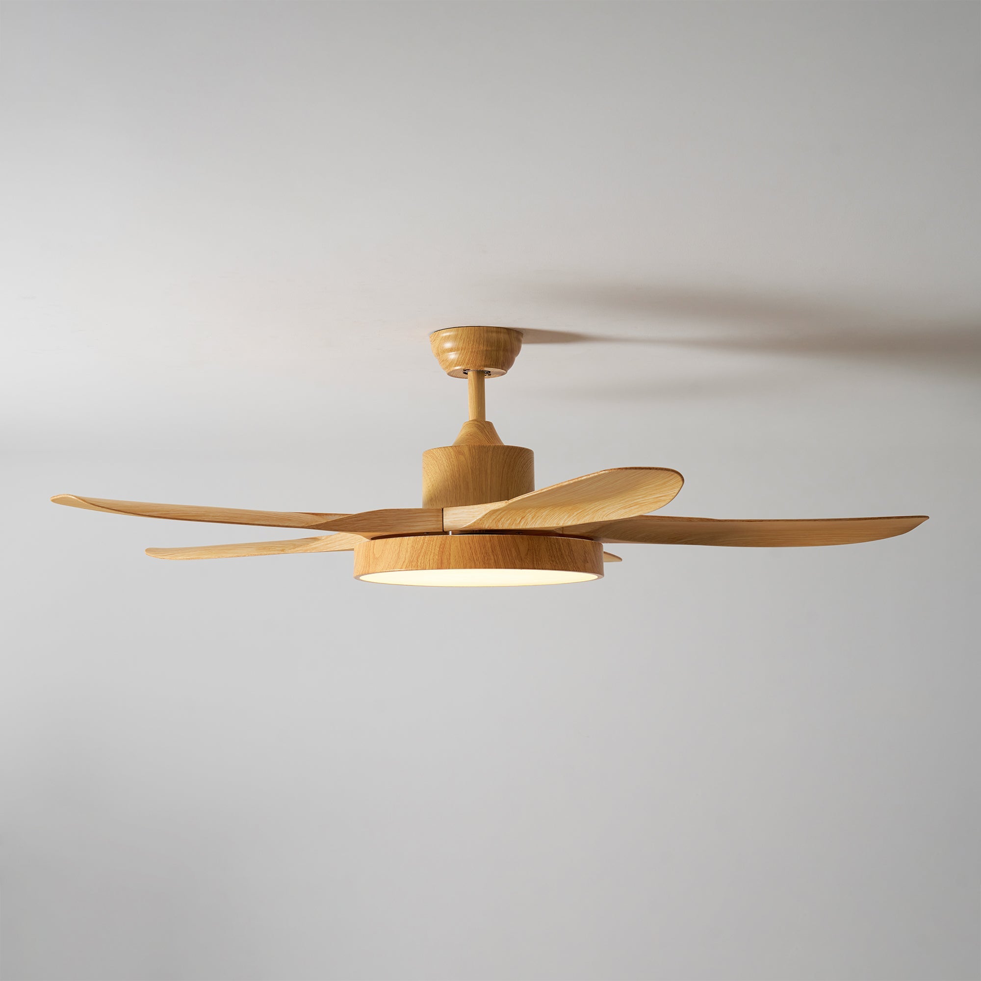 Fusion Premium Natural Metal Acrylic Ceiling Fan Light