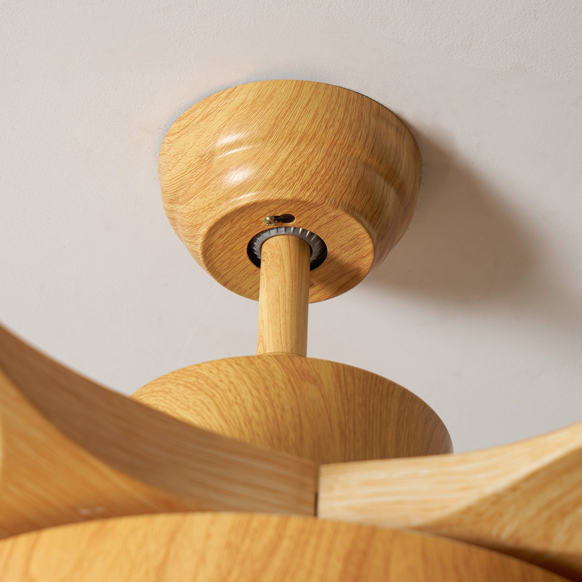Fusion Premium Natural Metal Acrylic Ceiling Fan Light