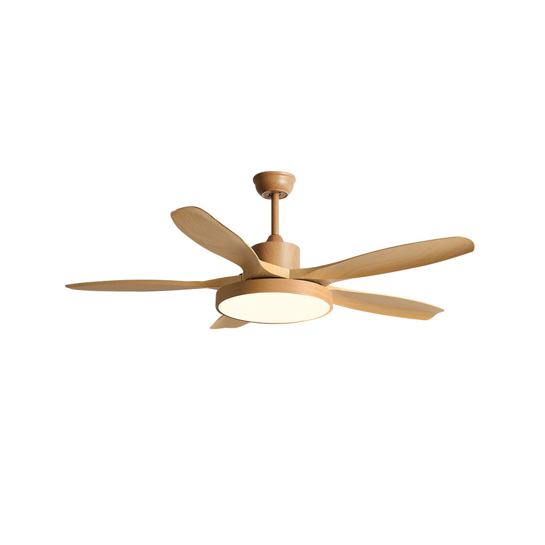 Fusion Premium Natural Metal Acrylic Ceiling Fan Light