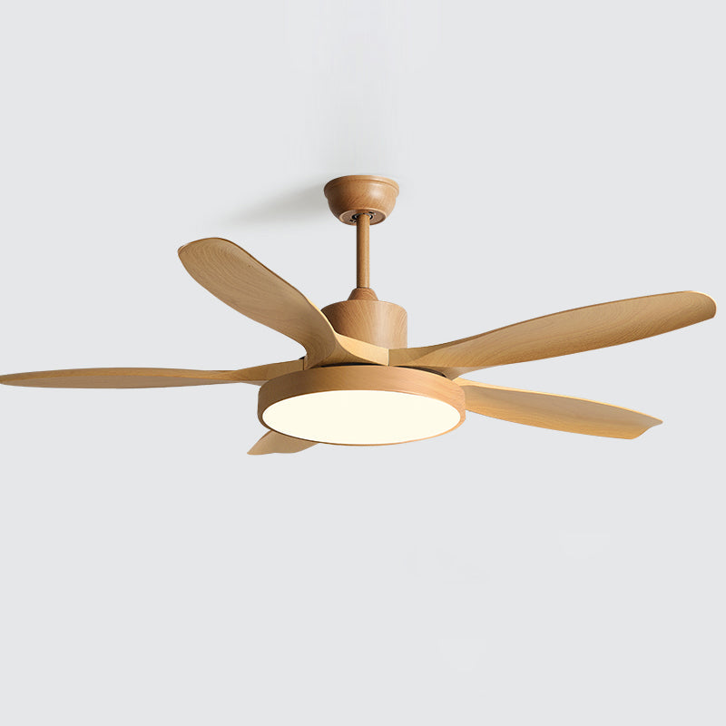 Fusion Premium Natural Metal Acrylic Ceiling Fan Light