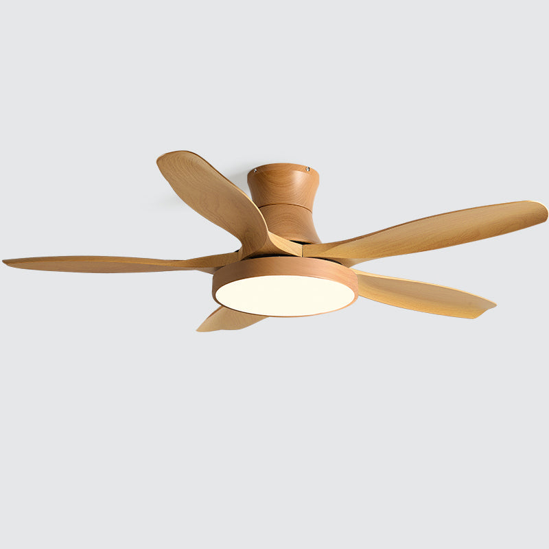 Fusion Premium Natural Metal Acrylic Ceiling Fan Light