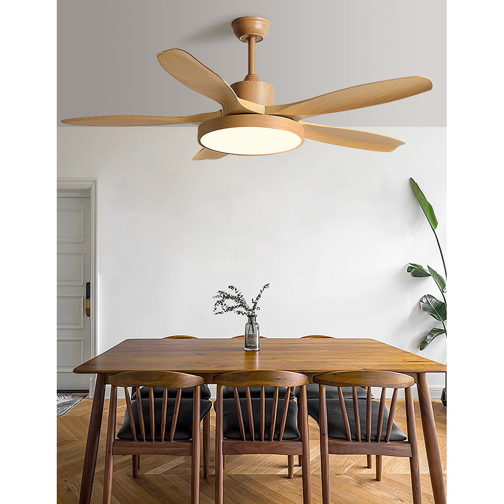 Fusion Premium Natural Metal Acrylic Ceiling Fan Light