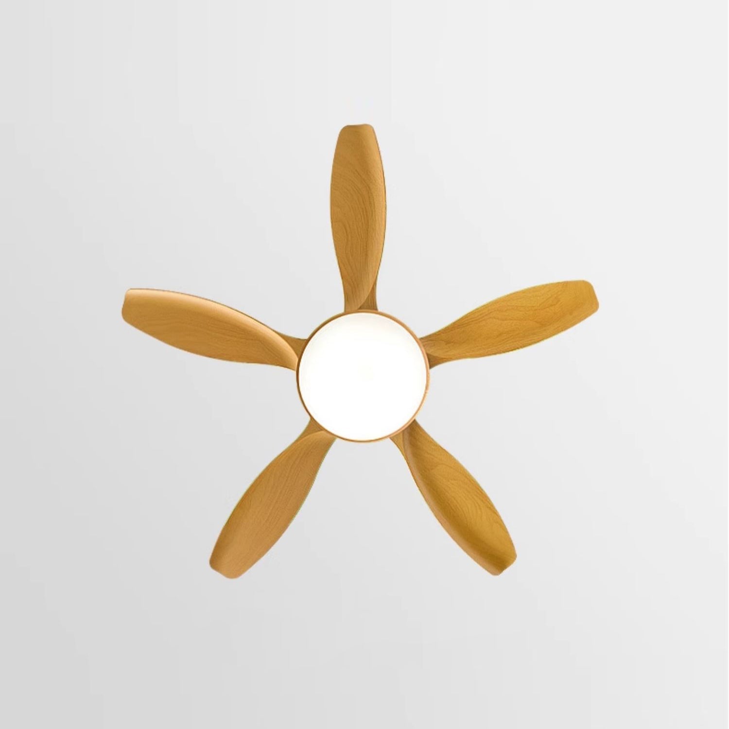 Fusion Premium Natural Metal Acrylic Ceiling Fan Light