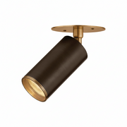 Ari Flush Mount