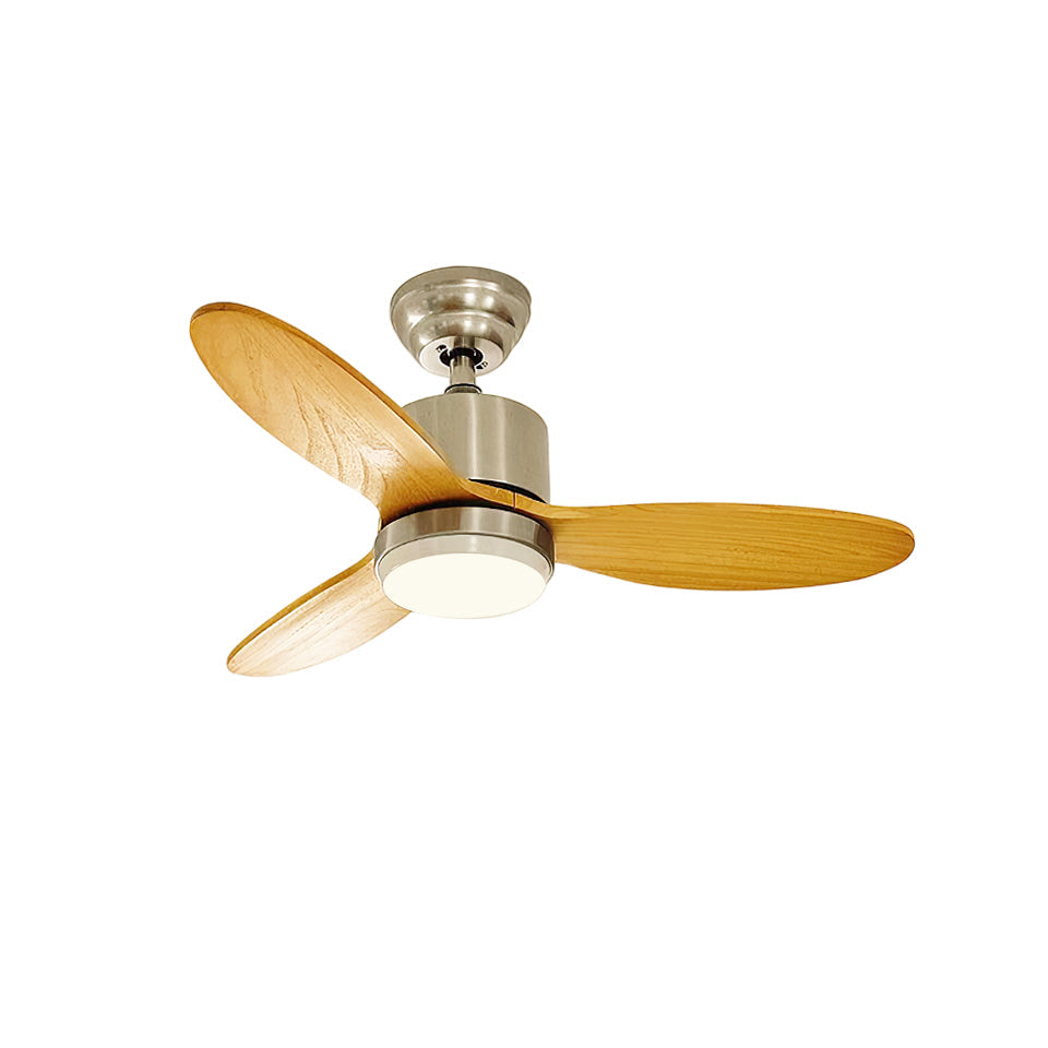 Essen Modern Minimalist Natural Wooden Acrylic Metal Ceiling Fan Light