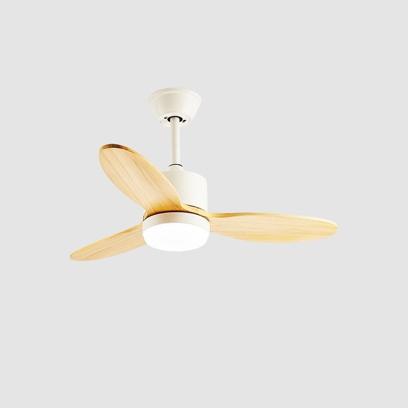 Essen Modern Minimalist Natural Wooden Acrylic Metal Ceiling Fan Light