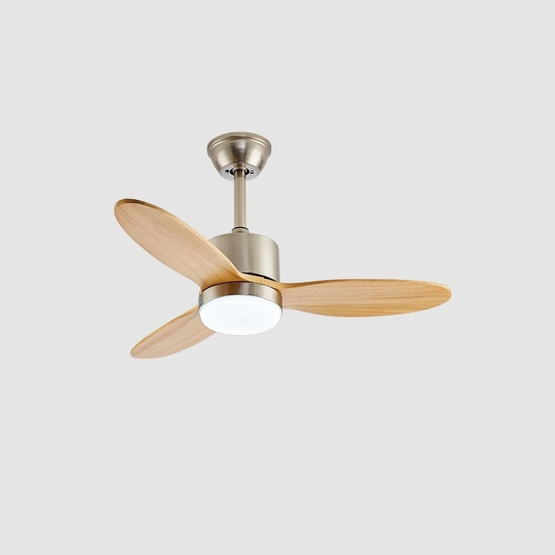 Essen Modern Minimalist Natural Wooden Acrylic Metal Ceiling Fan Light
