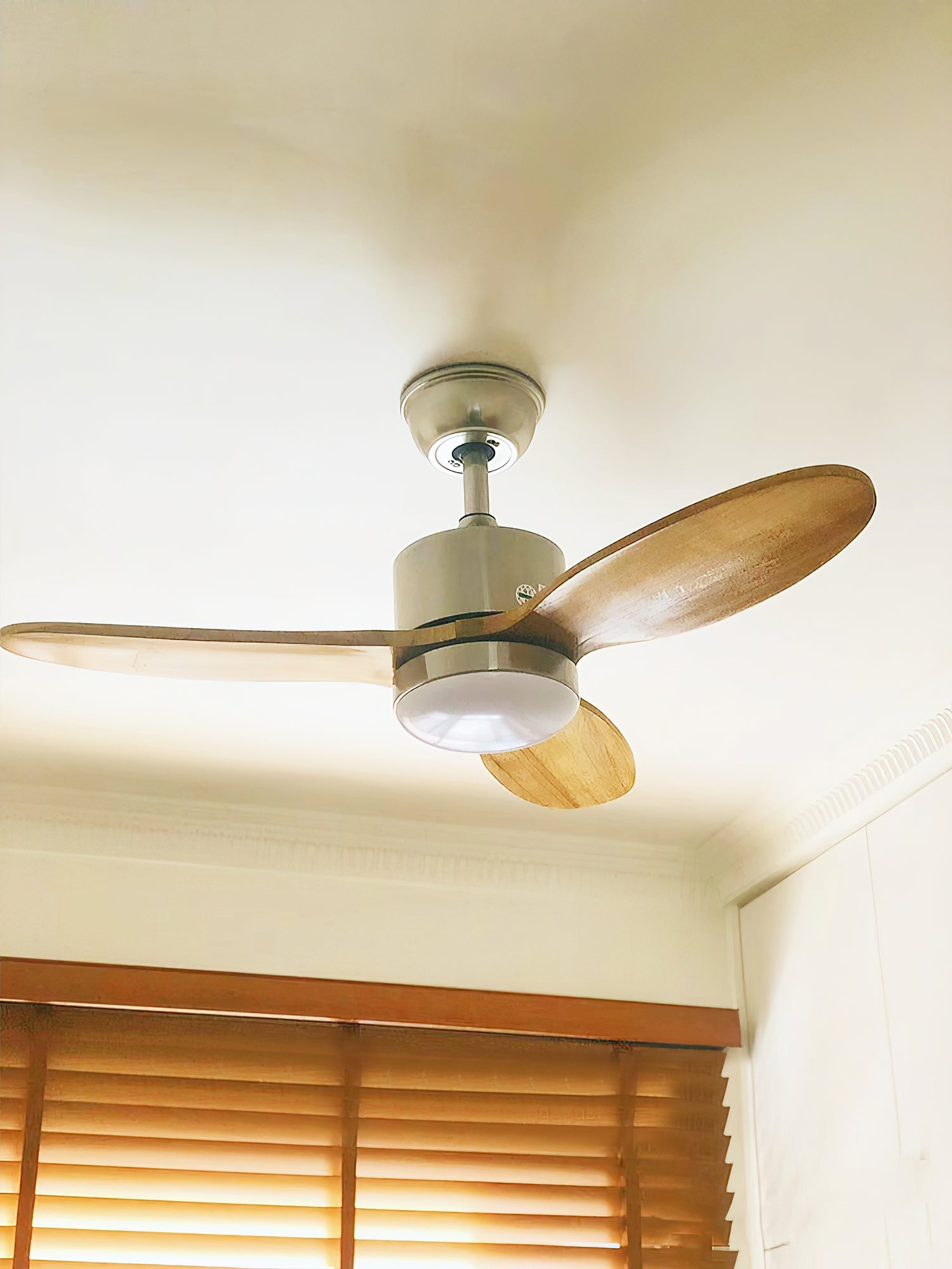 Essen Modern Minimalist Natural Wooden Acrylic Metal Ceiling Fan Light