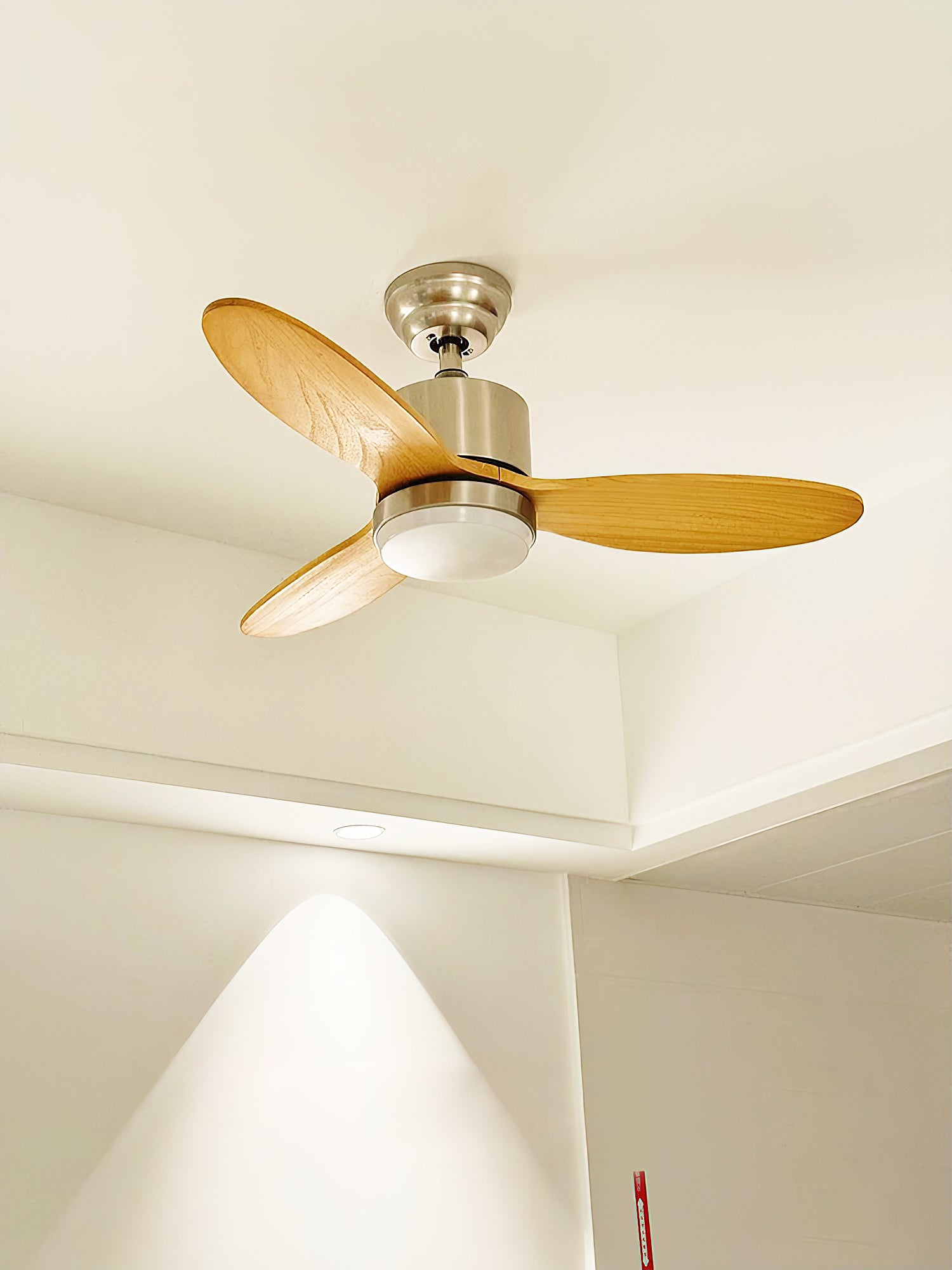 Essen Modern Minimalist Natural Wooden Acrylic Metal Ceiling Fan Light
