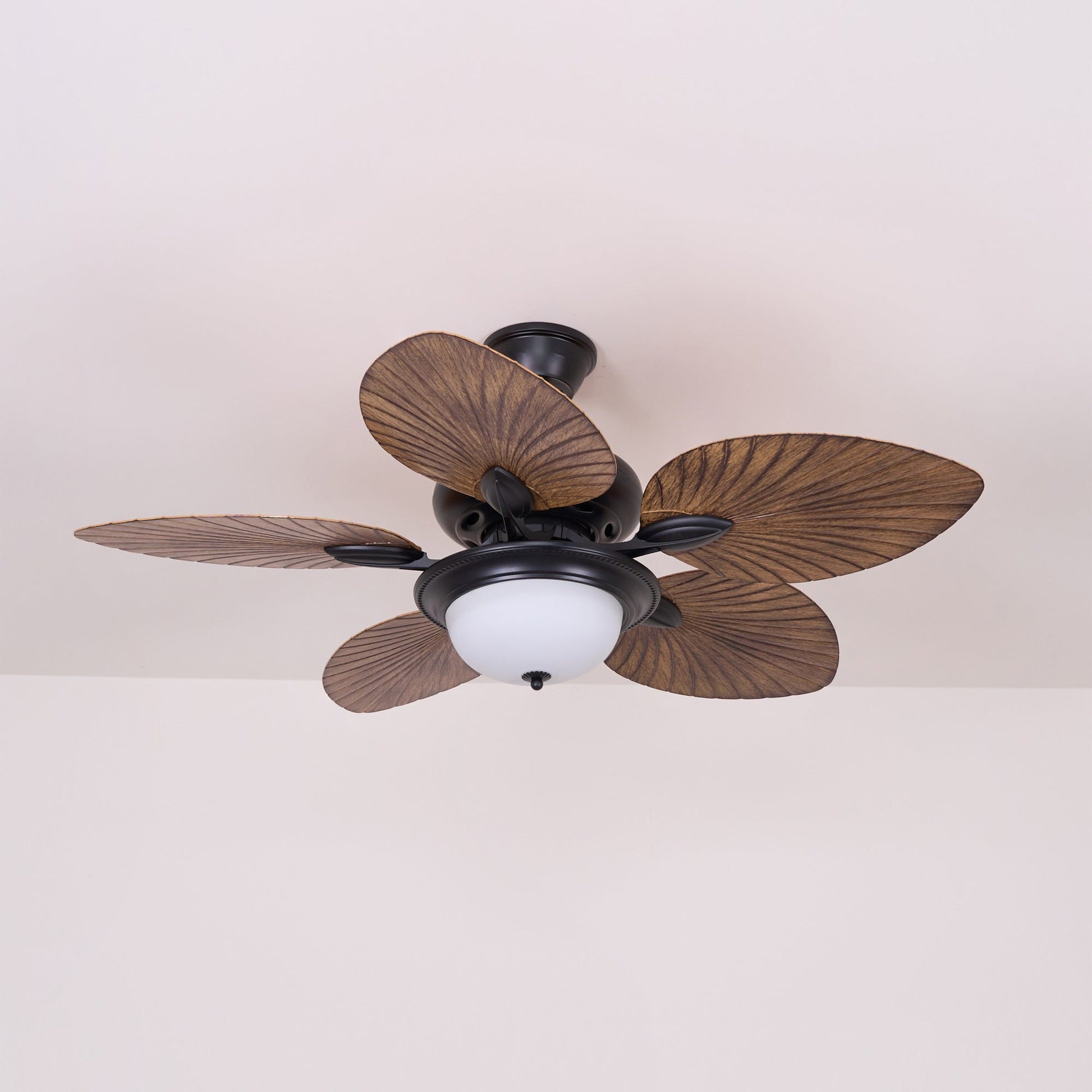 Yearn Natural Classic Walnut Acrylic Ceiling Fan Light - Lamp Copper