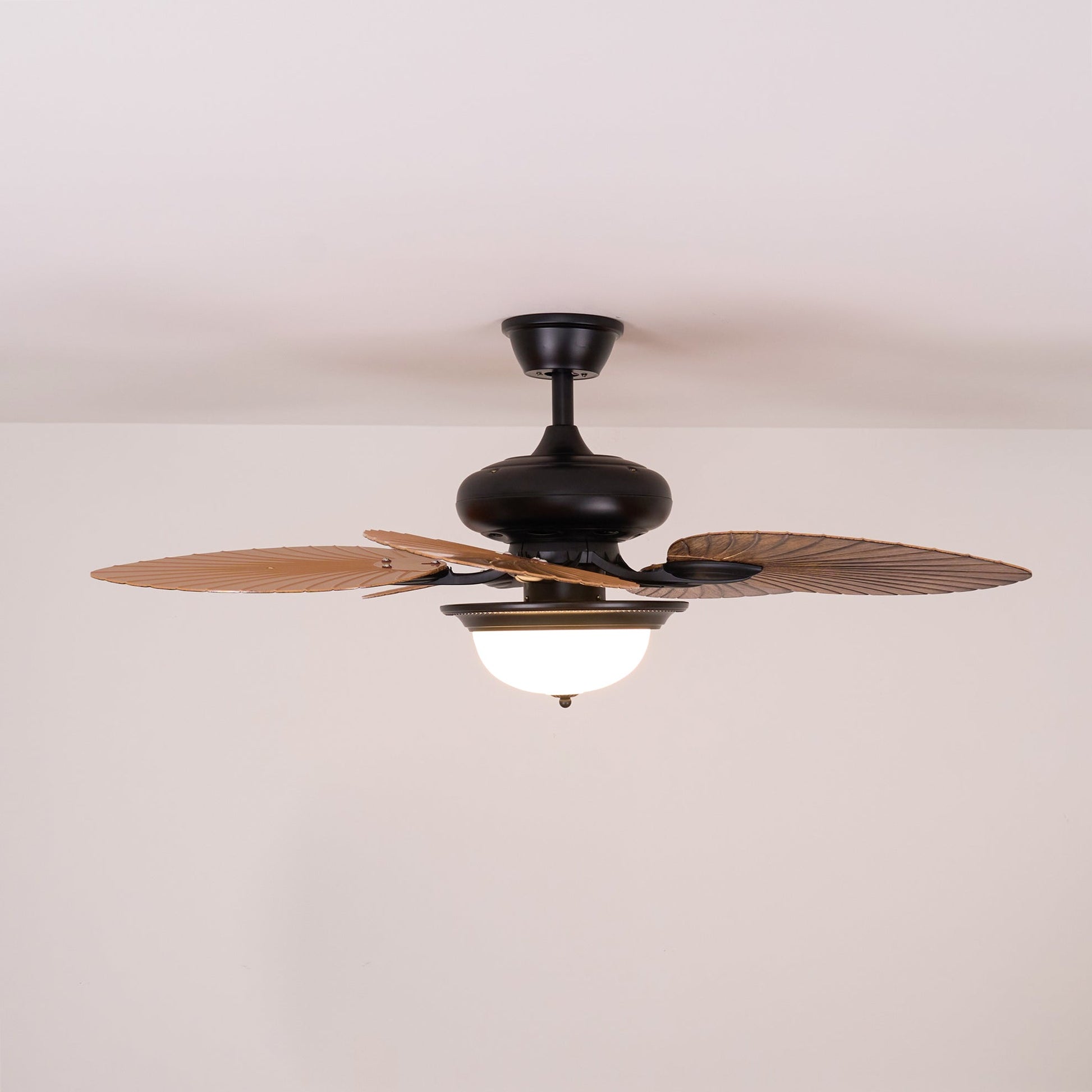 Yearn Natural Classic Walnut Acrylic Ceiling Fan Light - Lamp Copper