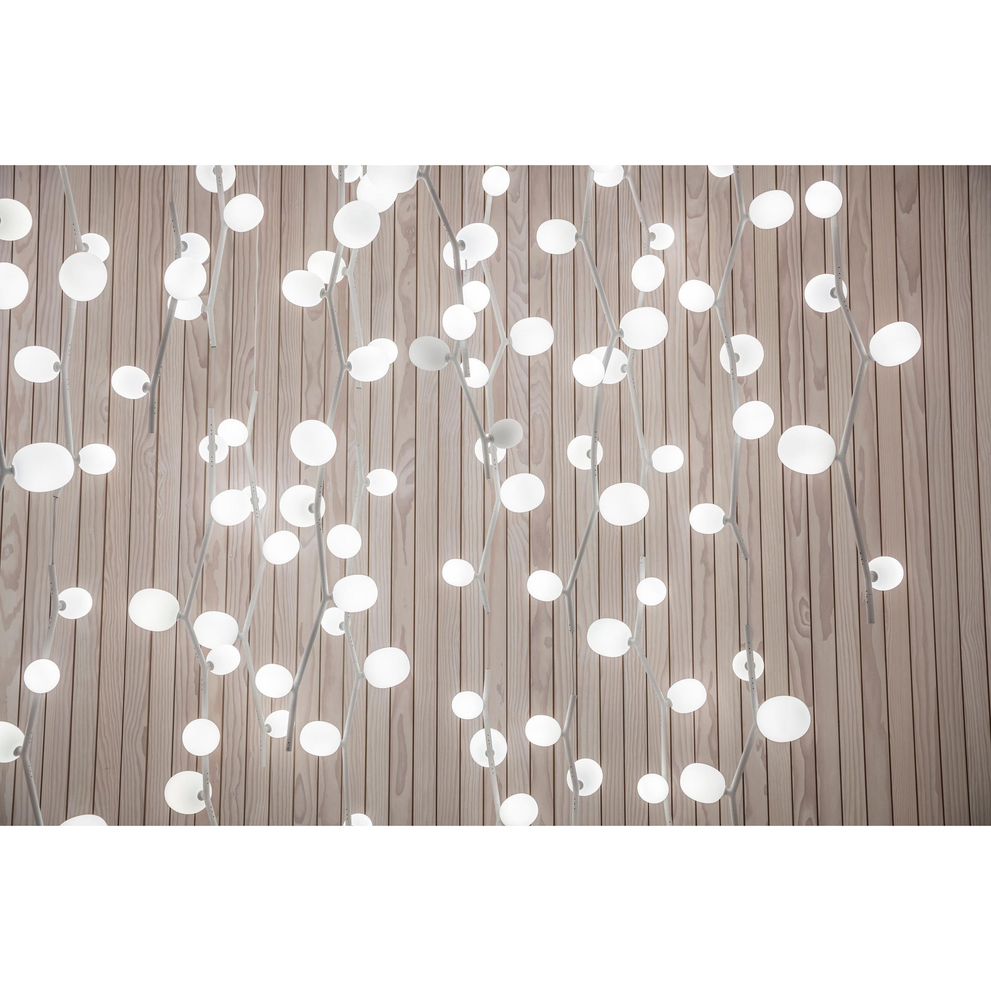 Isolora Modern Minimalist Vertical Glass Pendant Lamp - Lamp Copper