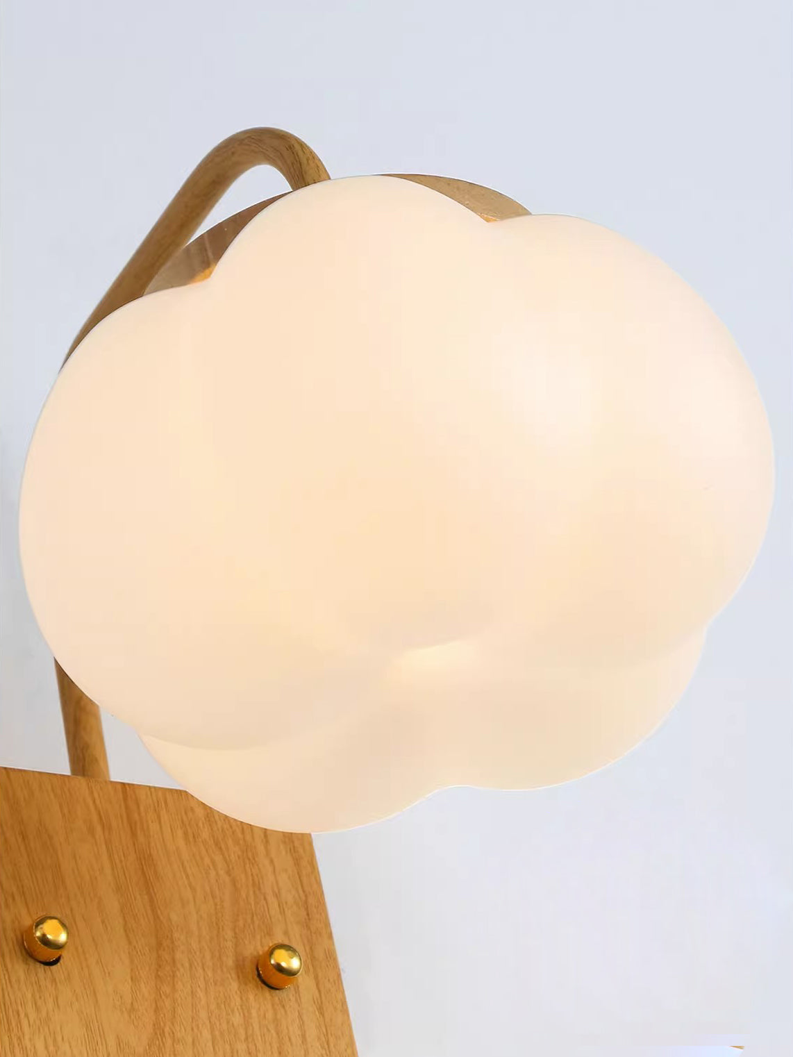 Eurrinis Elegance Flower Plastic Wall Lamp - Lamp Copper
