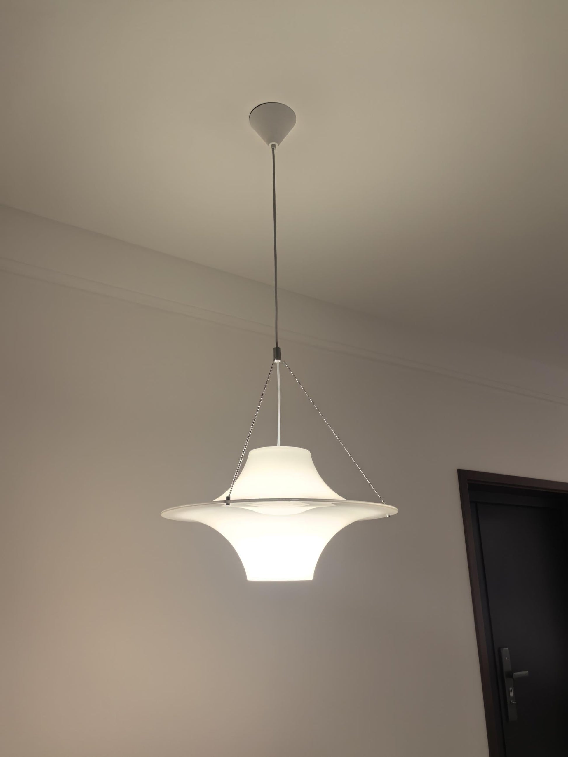 Alsolarae Individual Creativity Plastic Metal Pendant Lamp - Lamp Copper