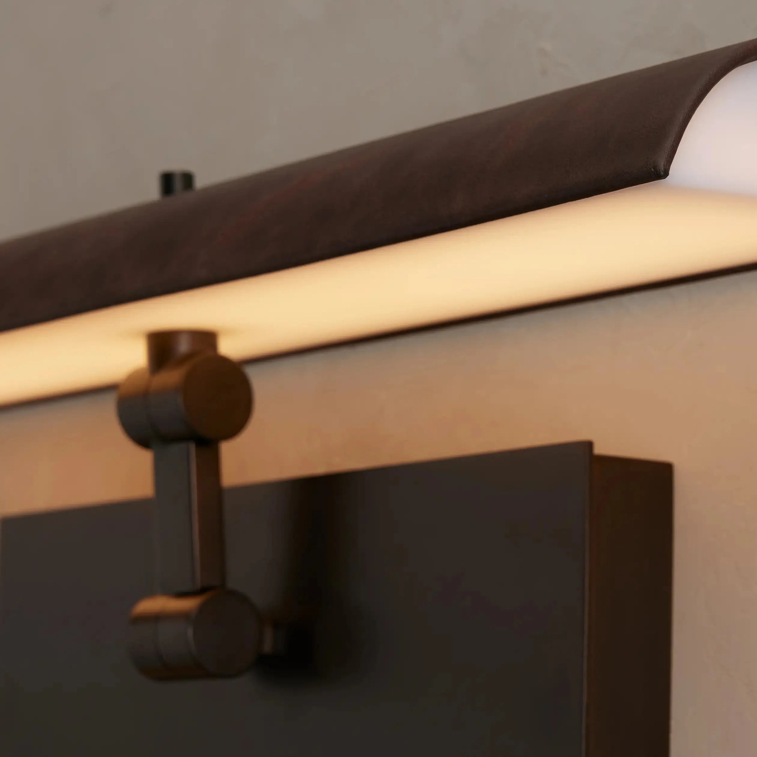 Evelyn Picture Light Sconce