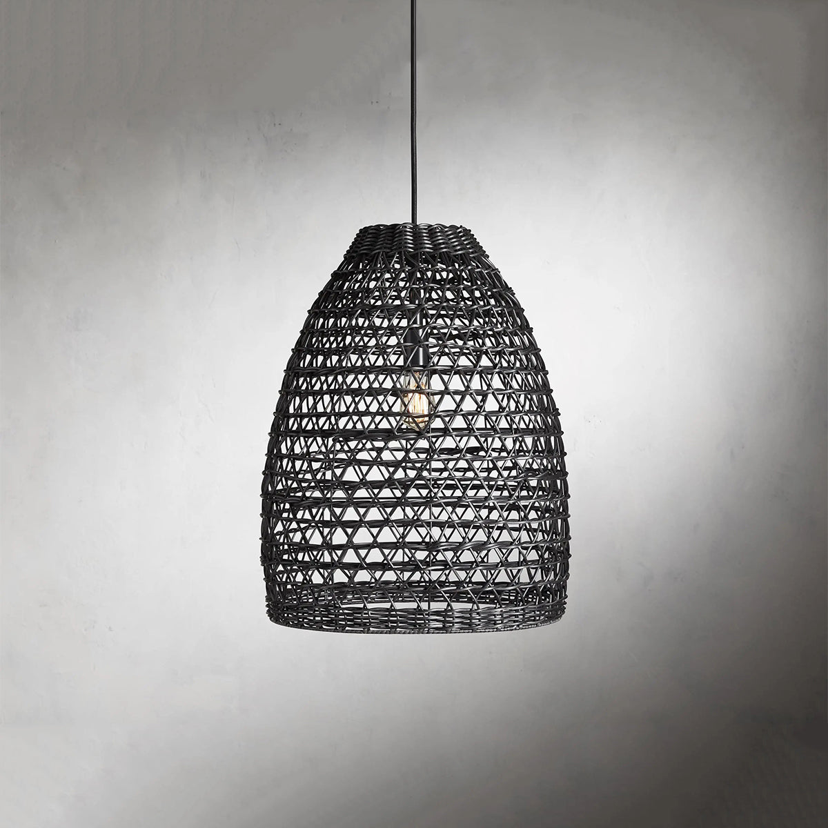 Coast Outdoor Black Pendant