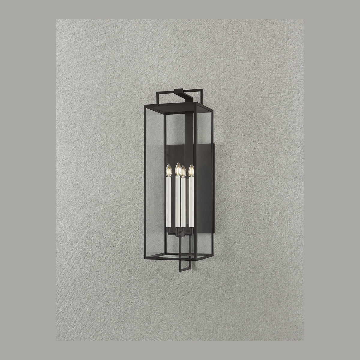 Valeria Forged Iron Clear Glass Indoor Outdoor Lantern Sconce