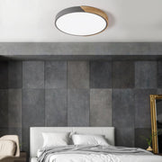 Tinduli Minimalist LED Metal Flush Mount Drum Light
