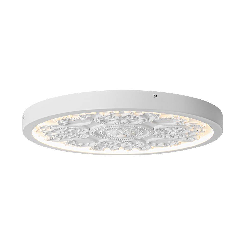 Yrvuvux Decorative French Medallion LED White Metal Flush Mount Light