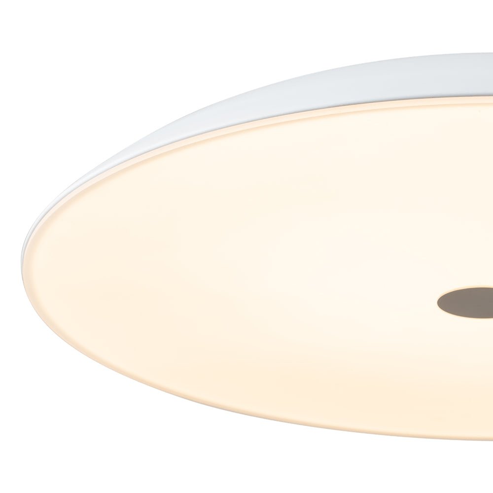 Qvistulix Minimalist LED Metal Pendant Light
