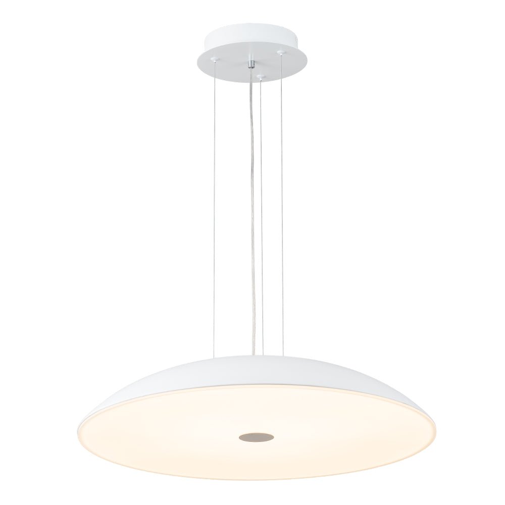Qvistulix Minimalist LED Metal Pendant Light