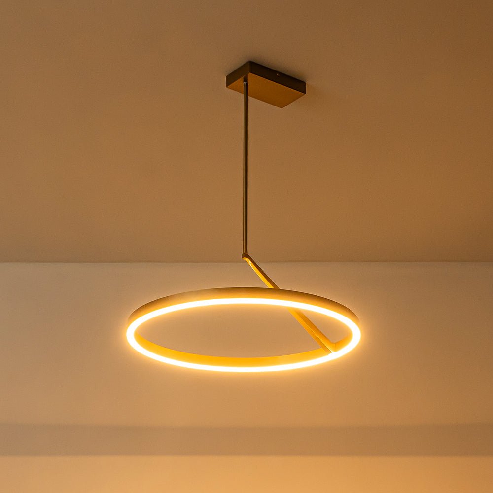 Ildvaka Modern Minimalist Dimmable LED Metal Pendant Light