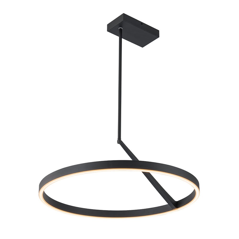 Ildvaka Modern Minimalist Dimmable LED Metal Pendant Light