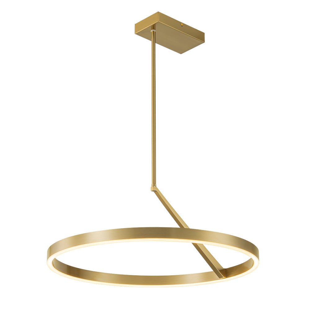 Ildvaka Modern Minimalist Dimmable LED Metal Pendant Light