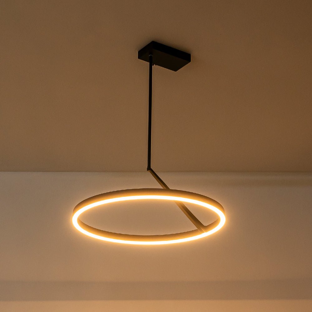 Ildvaka Modern Minimalist Dimmable LED Metal Pendant Light