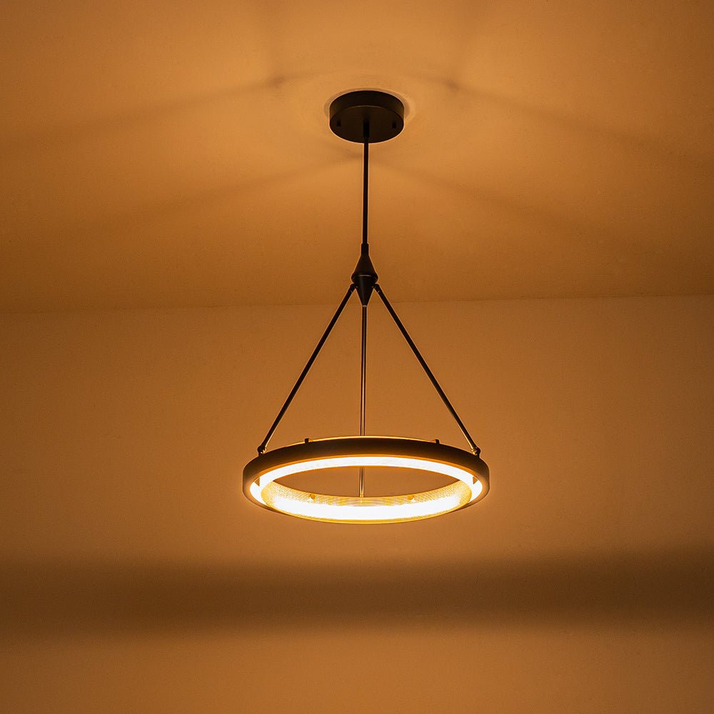 Aevitern Modern Minimalist Circular Metal Pendant Light