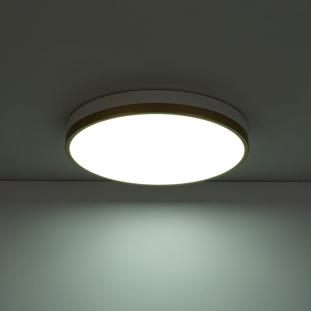 Eirikuvux Scandinavian Metal Ceiling Light