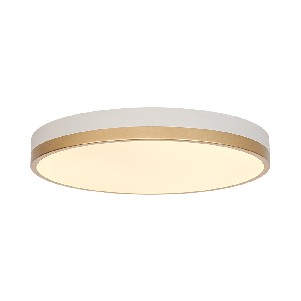 Eirikuvux Scandinavian Metal Ceiling Light