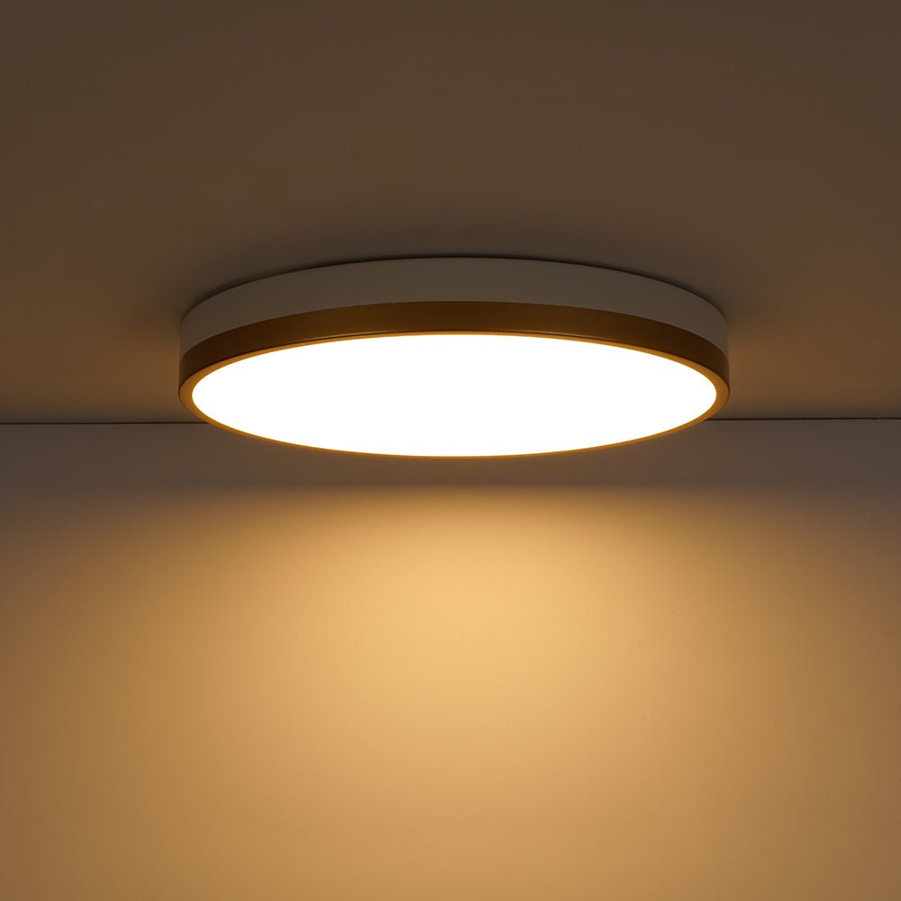 Eirikuvux Scandinavian Metal Ceiling Light