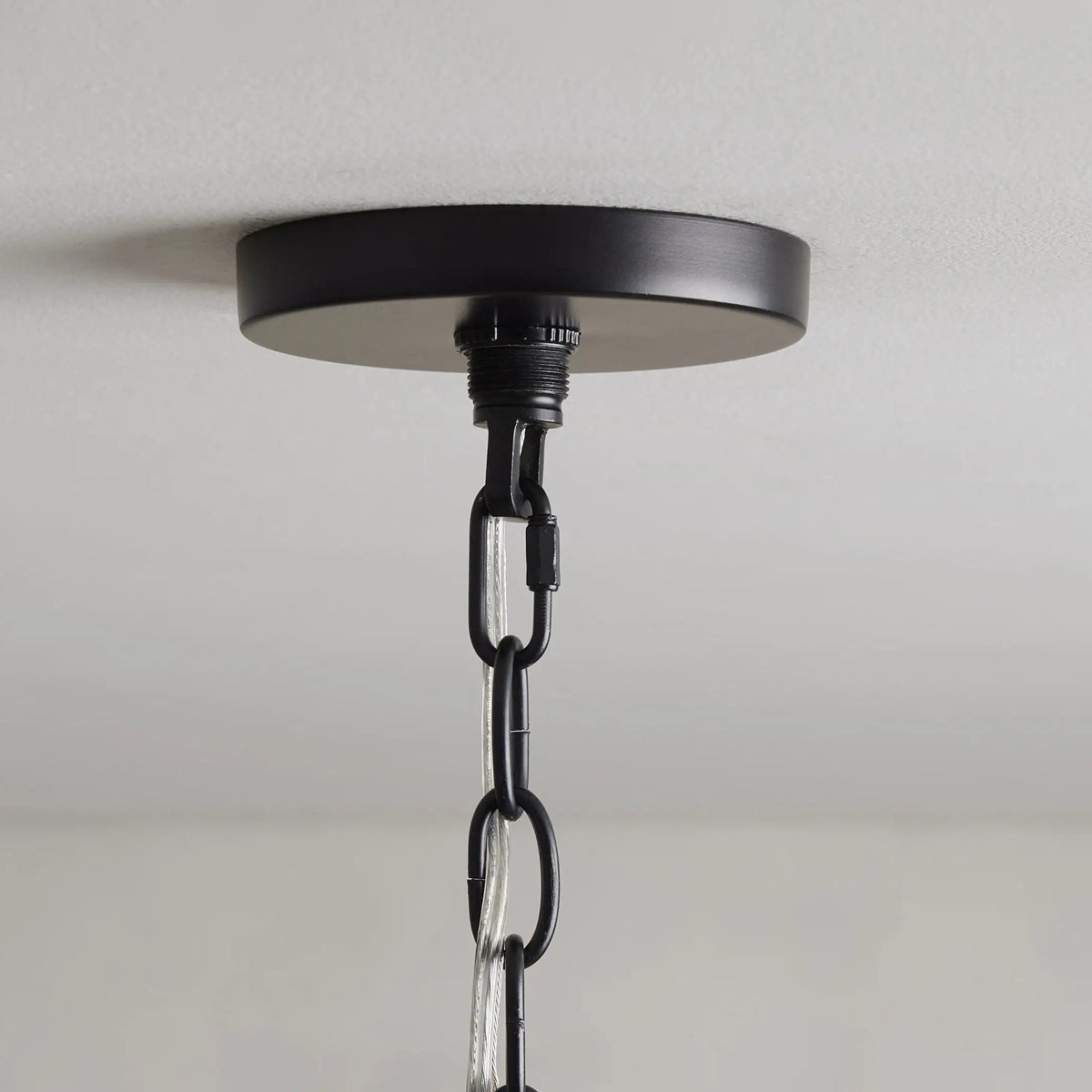 Megan Chandelier